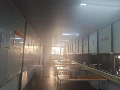 阜城兩所學(xué)校食堂突擊檢查結(jié)果曝光 守護(hù)學(xué)生餐桌安全，法圖信息傳遞監(jiān)管決心